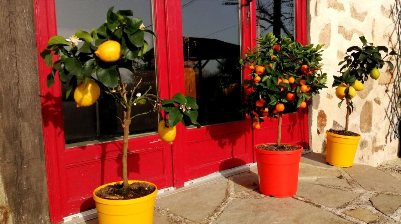 La Grange Ancienne Bed & Breakfast Montrollet ภายนอก รูปภาพ